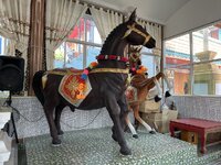 IMG_4061.jpeg