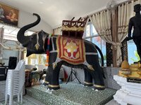 IMG_4063.jpeg