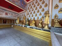 IMG_4081.jpeg