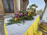 IMG_4107.jpeg