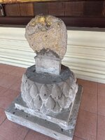 IMG_4126.jpeg
