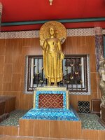 IMG_4134.jpeg