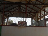 DSCN9982.JPG