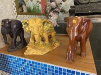 IMG_4151.jpeg