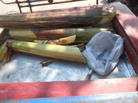 DSCN0028.JPG