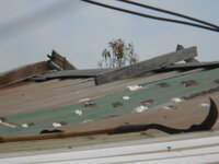 DSCN0646.JPG