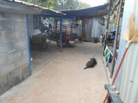 DSCN0641.JPG