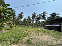 IMG_4367.jpeg