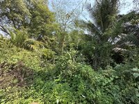 IMG_4369.jpeg