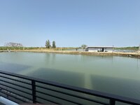 IMG_4388.jpeg