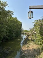 IMG_4395.jpeg