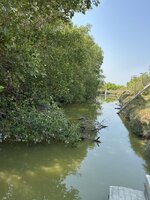 IMG_4396.jpeg