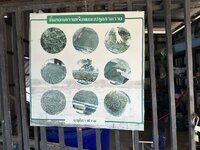 IMG_4398.jpeg