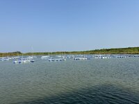 IMG_4400.jpeg