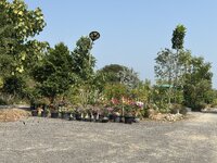 IMG_4404.jpeg