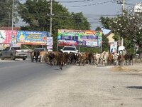 IMG_4406.jpeg