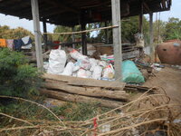 DSCN0661.JPG