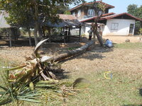 DSCN9892.JPG