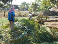 DSCN9890.JPG