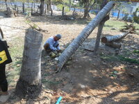 DSCN9896.JPG