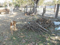 DSCN9894.JPG