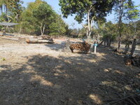 DSCN9893.JPG