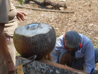 DSCN9899.JPG