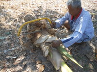 DSCN9902.JPG