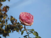 DSCN0147.JPG