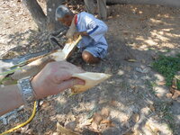 DSCN9908.JPG