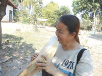 DSCN9910.JPG