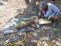 DSCN9909.JPG