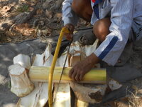 DSCN9916.JPG