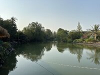 IMG_4425.jpeg
