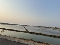 IMG_4454.jpeg