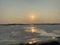 IMG_4471.jpeg