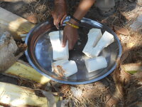 DSCN9928.JPG