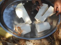 DSCN9927.JPG