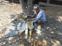 DSCN9925.JPG