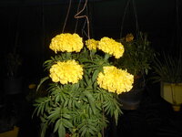 DSCN0567.JPG