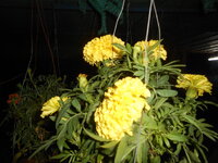 DSCN0568.JPG