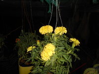 DSCN0569.JPG