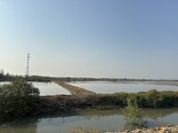 IMG_4527.jpeg