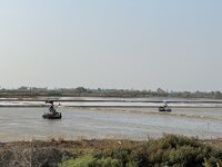 IMG_4529.jpeg