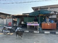 IMG_4544.jpeg