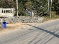 IMG_4556.jpeg