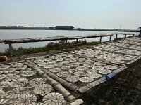IMG_4553.jpeg