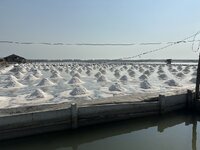 IMG_4559.jpeg