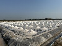 IMG_4562.jpeg