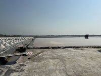 IMG_4563.jpeg